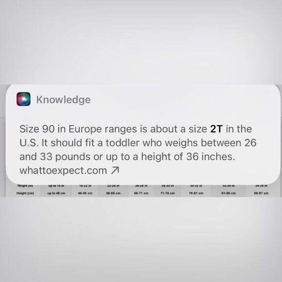 Size 90/2T (see photo sizing) baby boy jumper and white shirt. - Picture 7 of 12